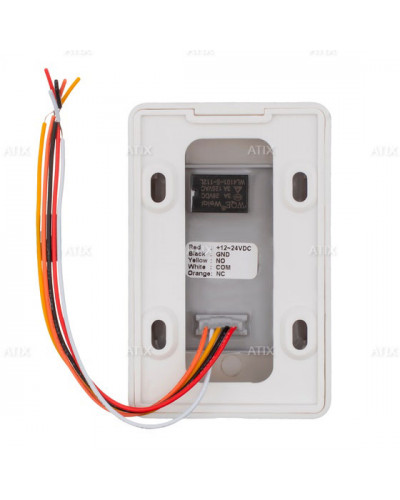 AT-AC-BD1-W/PL Black