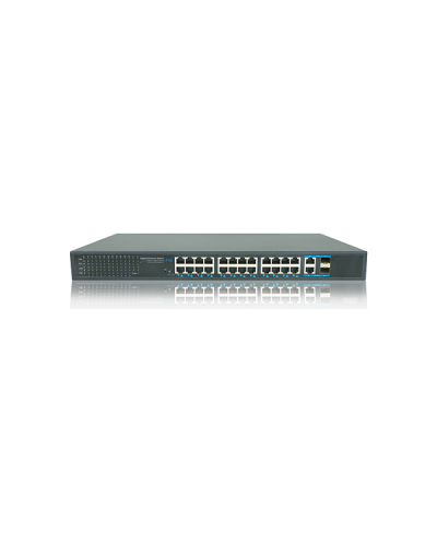 AT-NS-24GP2G-2GS-450 (B)